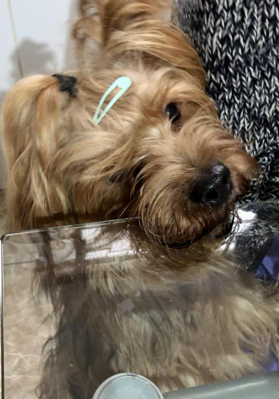 luzcas1106 uploaded   282  day/s  ago