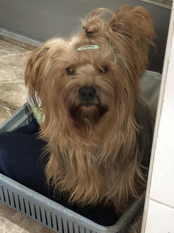 luzcas1106 uploaded   300  day/s  ago