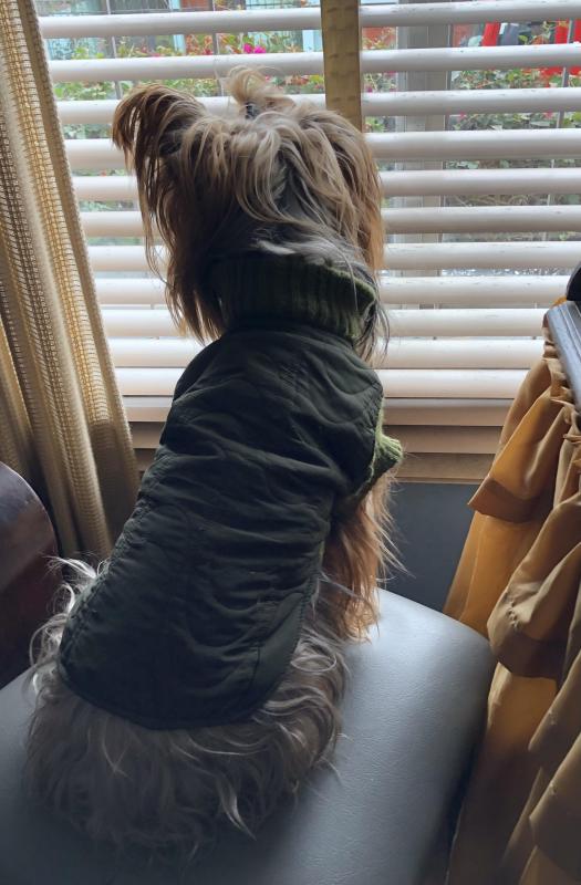 luzcas1106 uploaded   273  day/s  ago