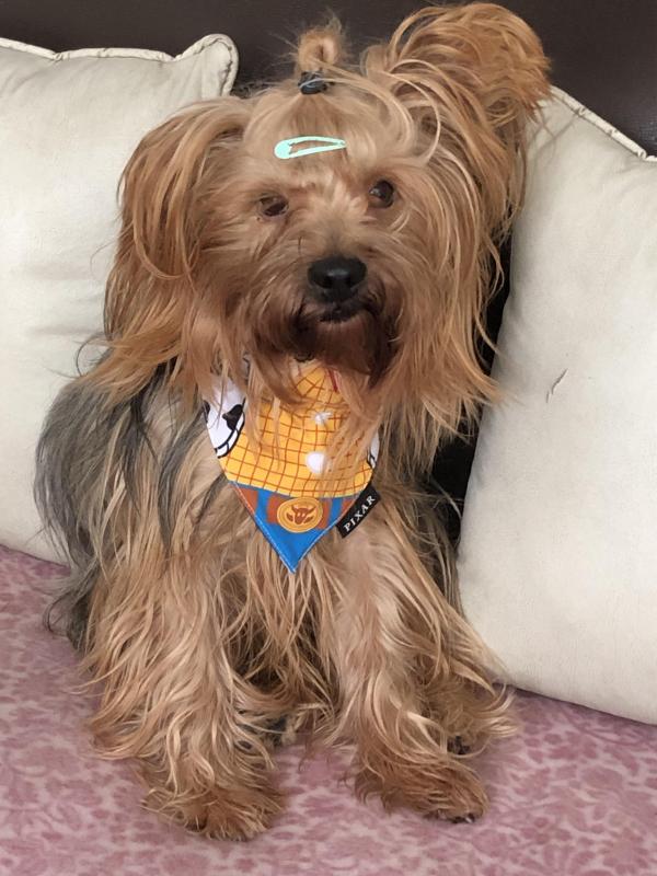 luzcas1106 uploaded   249  day/s  ago