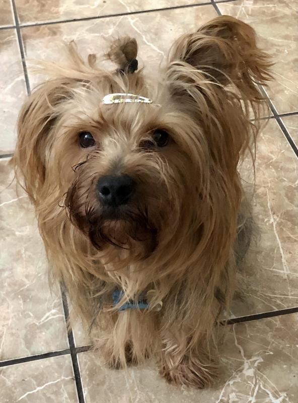 luzcas1106 uploaded   214  day/s  ago