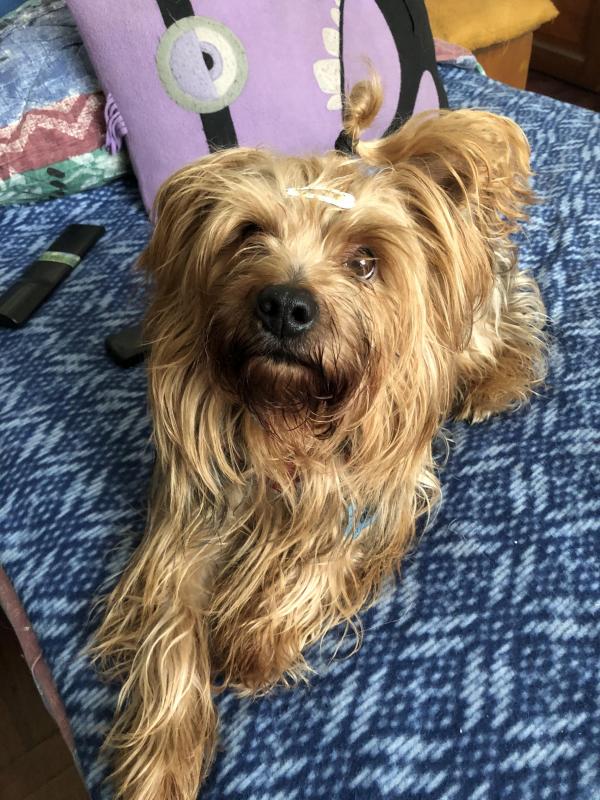 luzcas1106 uploaded   206  day/s  ago