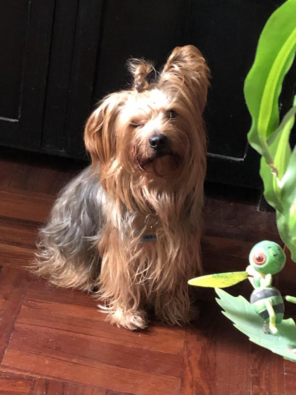 luzcas1106 uploaded   192  day/s  ago