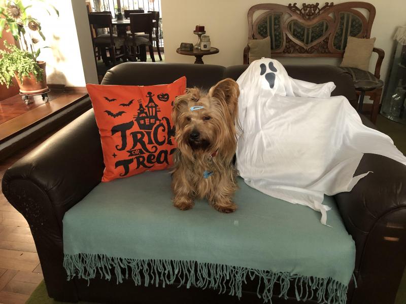 luzcas1106 uploaded   186  day/s  ago