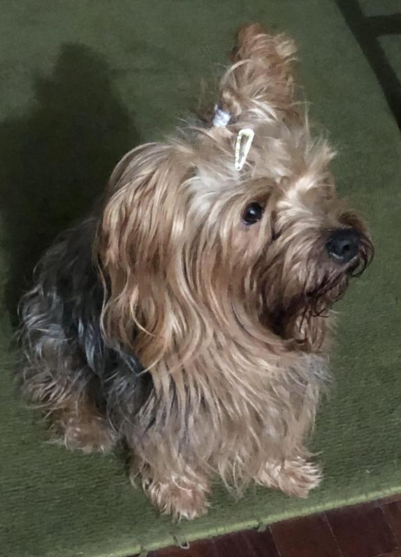 luzcas1106 uploaded   1 year/s ago