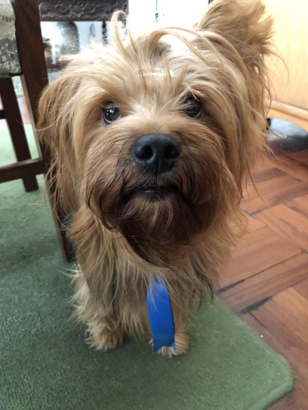 luzcas1106 uploaded   1 year/s ago