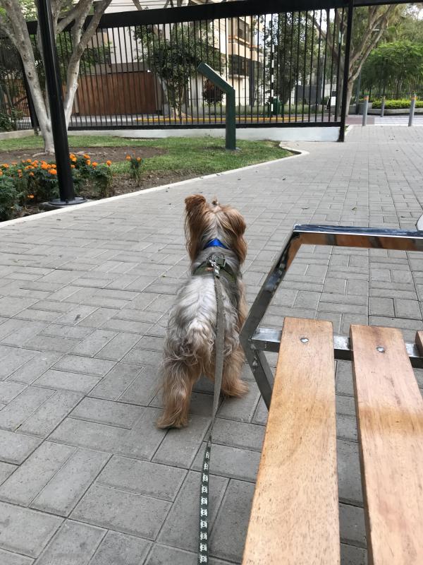 luzcas1106 uploaded   346  day/s  ago