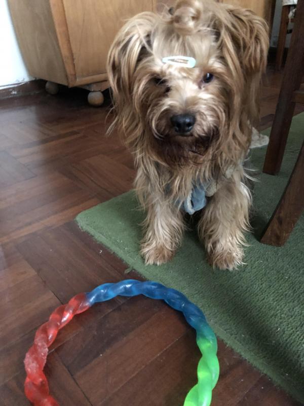 luzcas1106 uploaded   331  day/s  ago