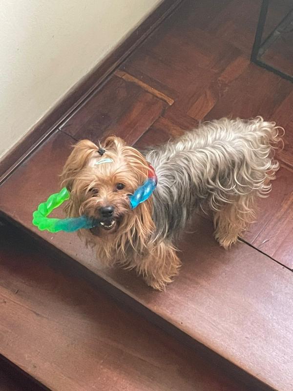 luzcas1106 uploaded   282  day/s  ago