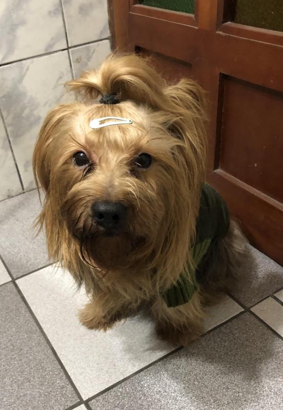 luzcas1106 uploaded   273  day/s  ago