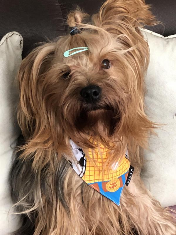 luzcas1106 uploaded   173  day/s  ago