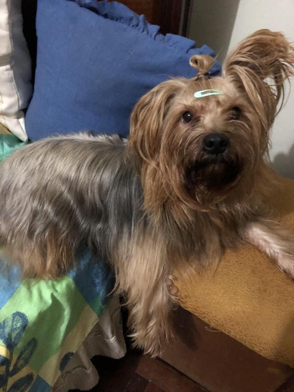 luzcas1106 uploaded   264  day/s  ago