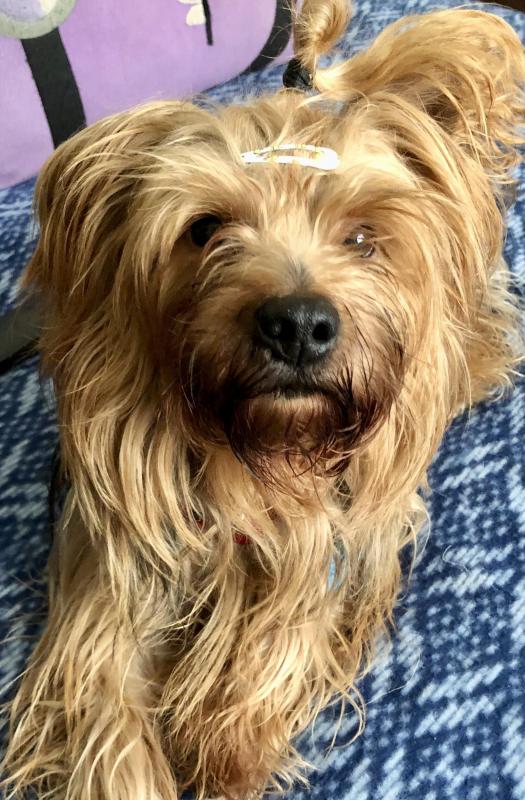 luzcas1106 uploaded   206  day/s  ago