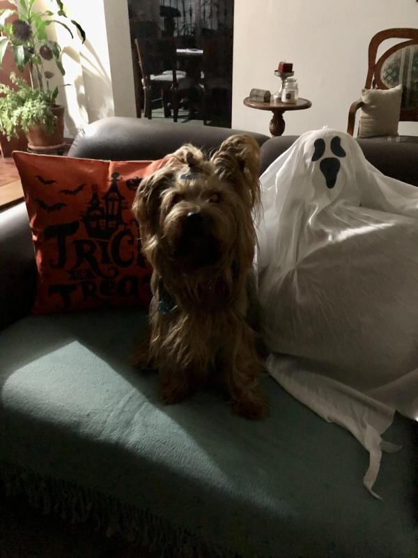 luzcas1106 uploaded   186  day/s  ago