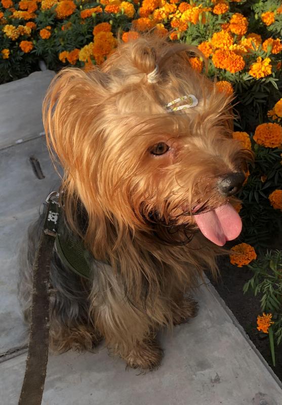 luzcas1106 uploaded   1 year/s ago