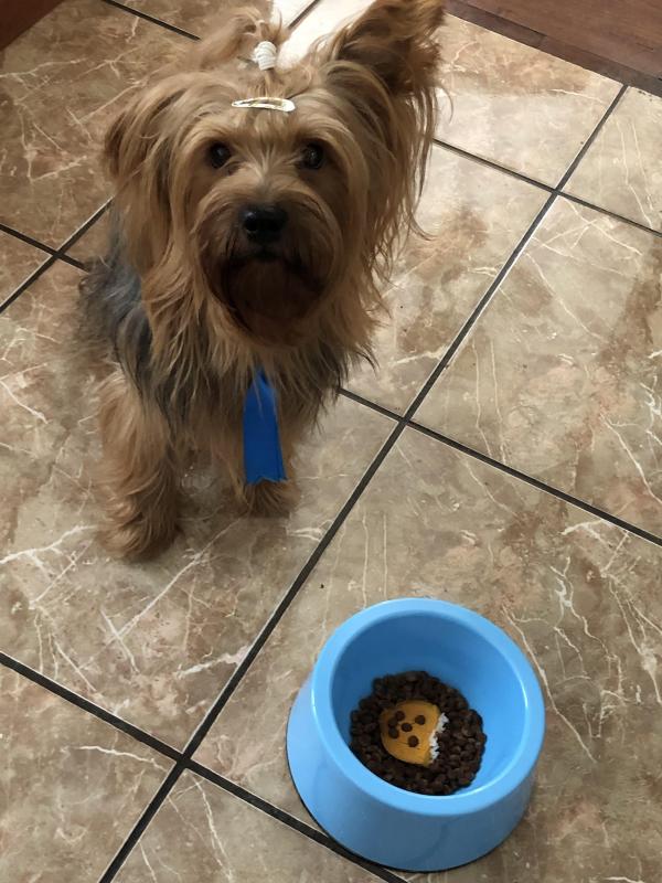 luzcas1106 uploaded   1 year/s ago