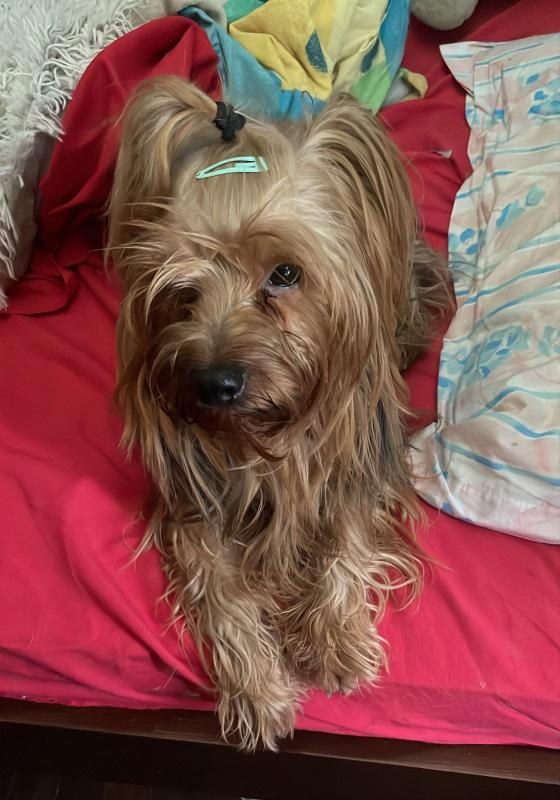 luzcas1106 uploaded   282  day/s  ago