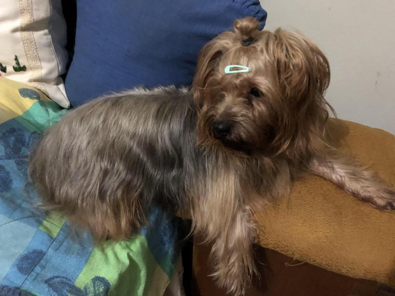 luzcas1106 uploaded   264  day/s  ago