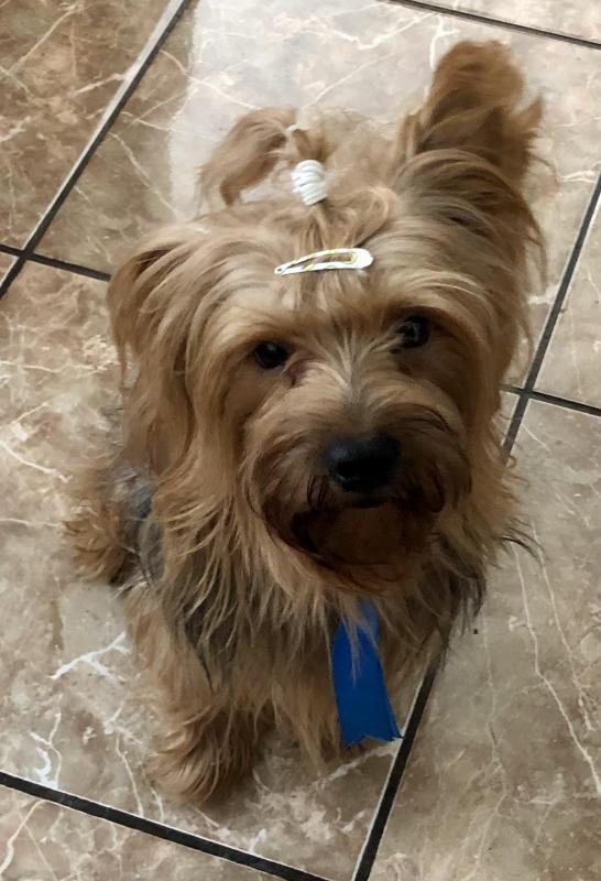 luzcas1106 uploaded   1 year/s ago