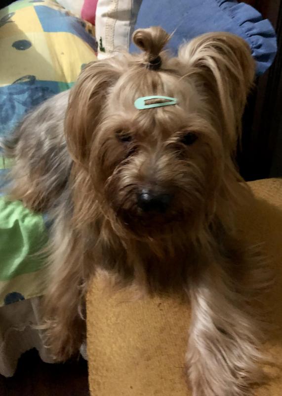 luzcas1106 uploaded   264  day/s  ago