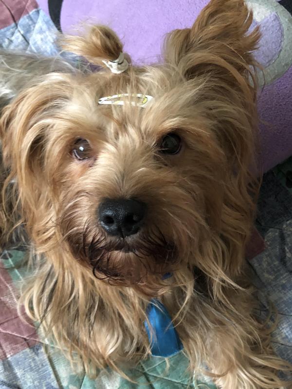 luzcas1106 uploaded   1 year/s ago