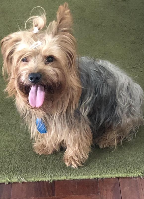 luzcas1106 uploaded   1 year/s ago