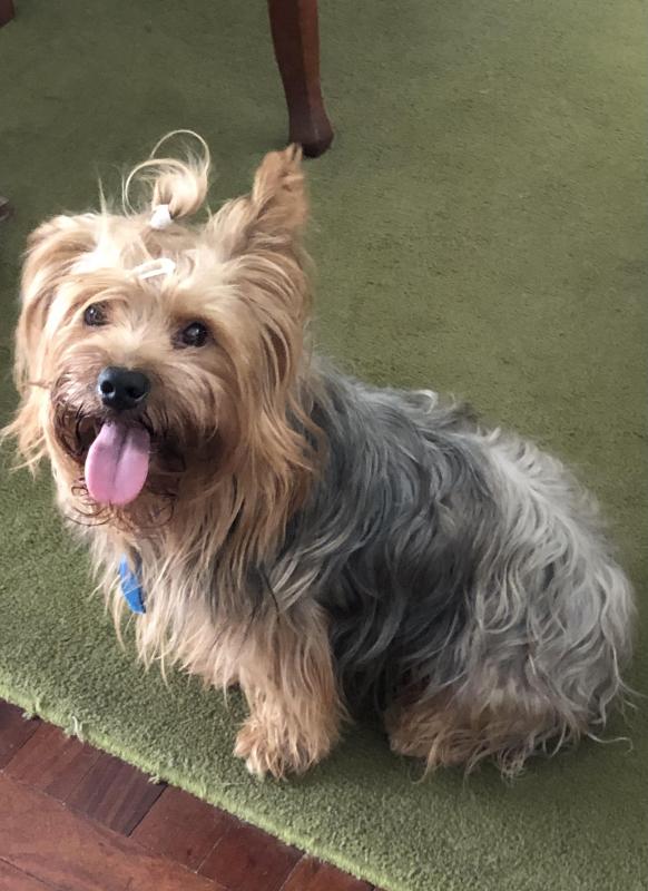 luzcas1106 uploaded   1 year/s ago