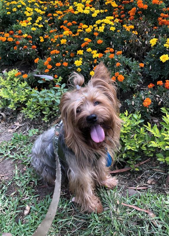 luzcas1106 uploaded   1 year/s ago