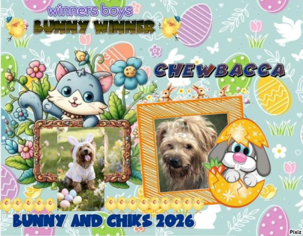 Chewbacca of the luzcas1106 family