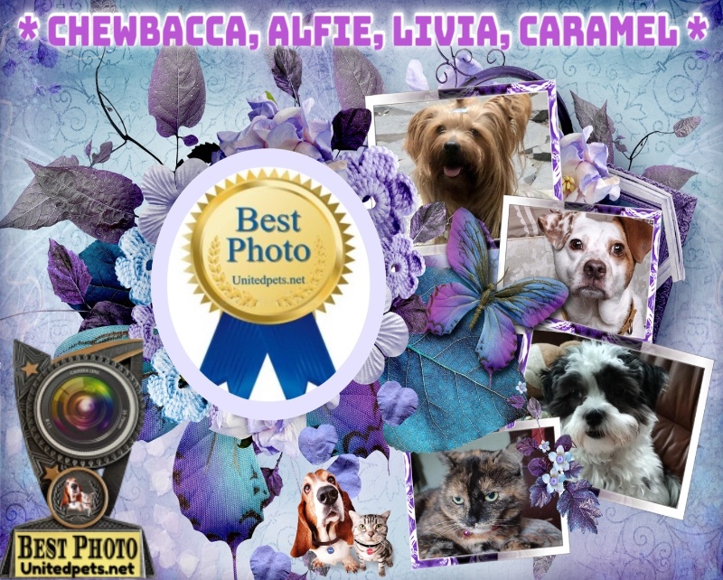 luzcas1106 uploaded   56  day/s  ago