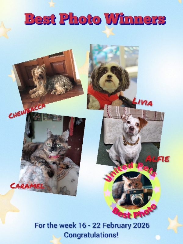 luzcas1106 uploaded   56  day/s  ago