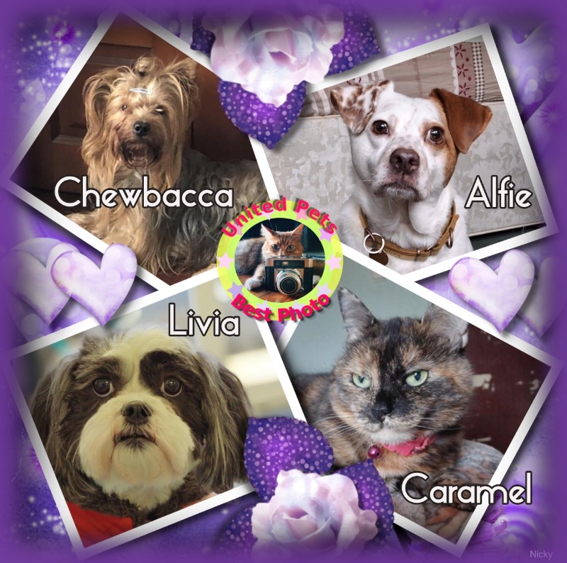 luzcas1106 uploaded   36  day/s  ago