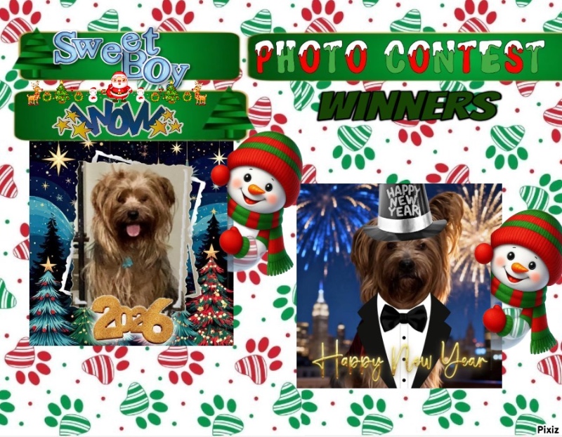 Chewbacca of the luzcas1106 family