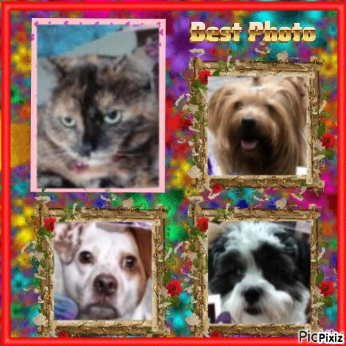 luzcas1106 uploaded   56  day/s  ago