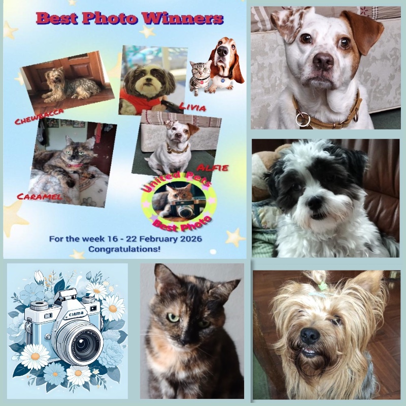 luzcas1106 uploaded   36  day/s  ago