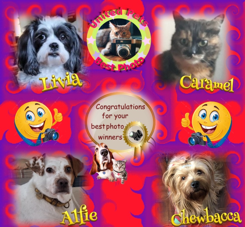 luzcas1106 uploaded   36  day/s  ago