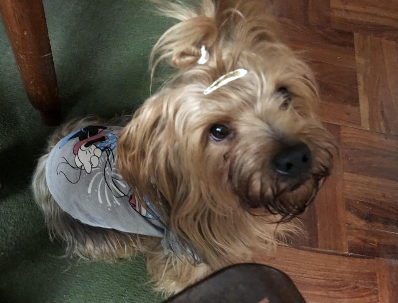 luzcas1106 uploaded   147  day/s  ago