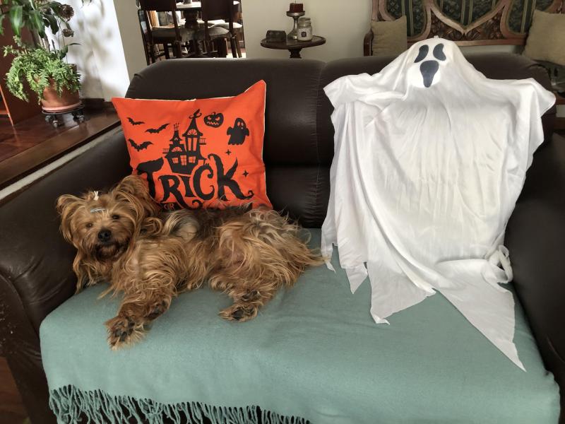 luzcas1106 uploaded   171  day/s  ago