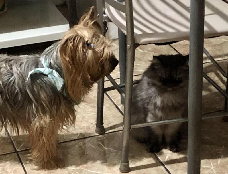 luzcas1106 uploaded   130  day/s  ago