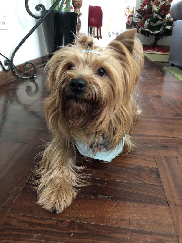 luzcas1106 uploaded   127  day/s  ago