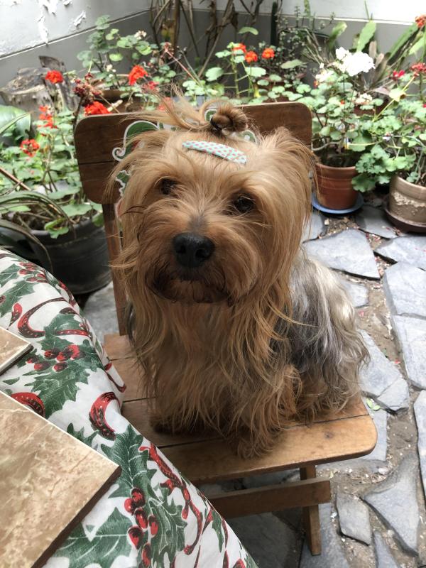 luzcas1106 uploaded   119  day/s  ago