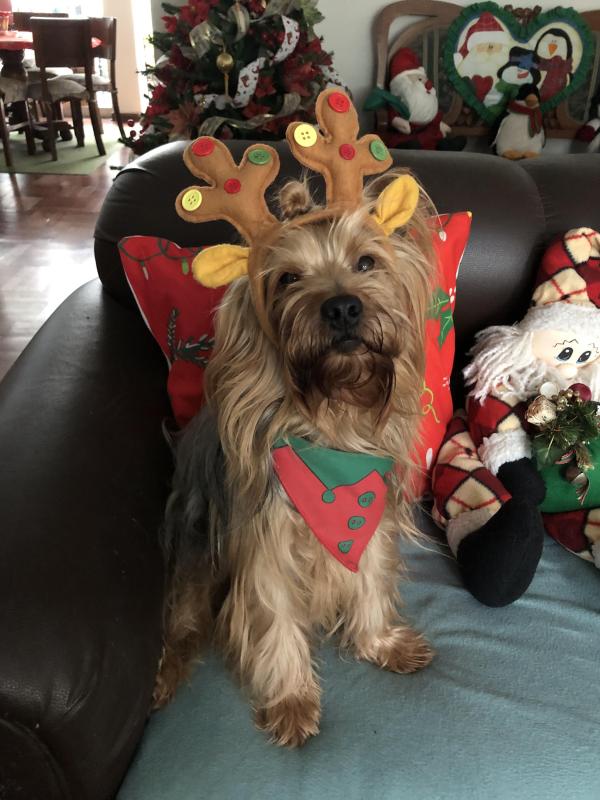 luzcas1106 uploaded   140  day/s  ago