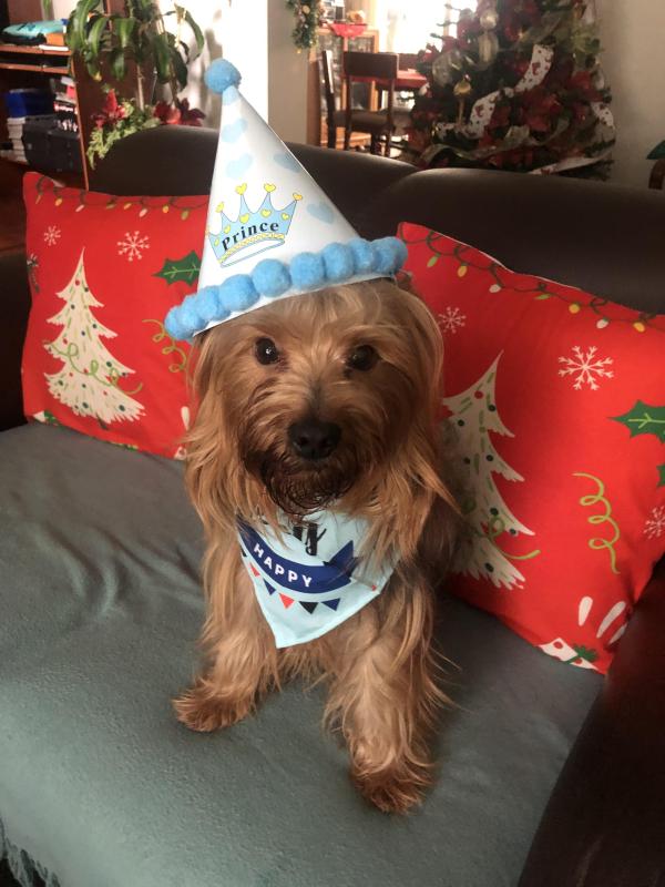 luzcas1106 uploaded   137  day/s  ago