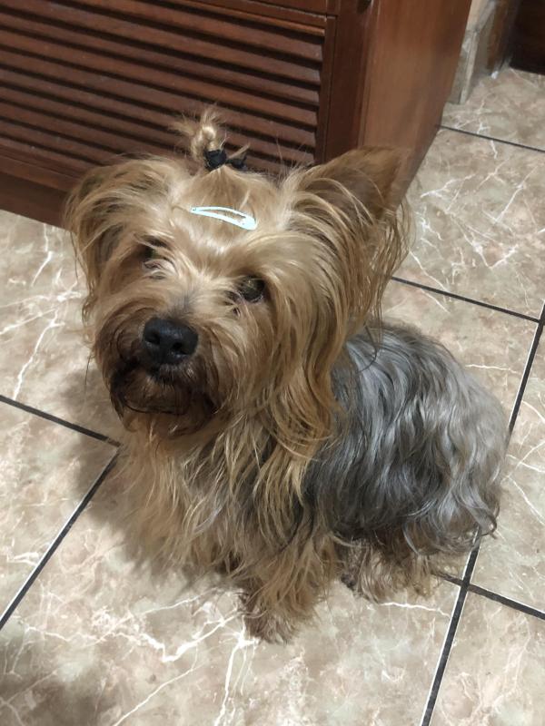 luzcas1106 uploaded   98  day/s  ago