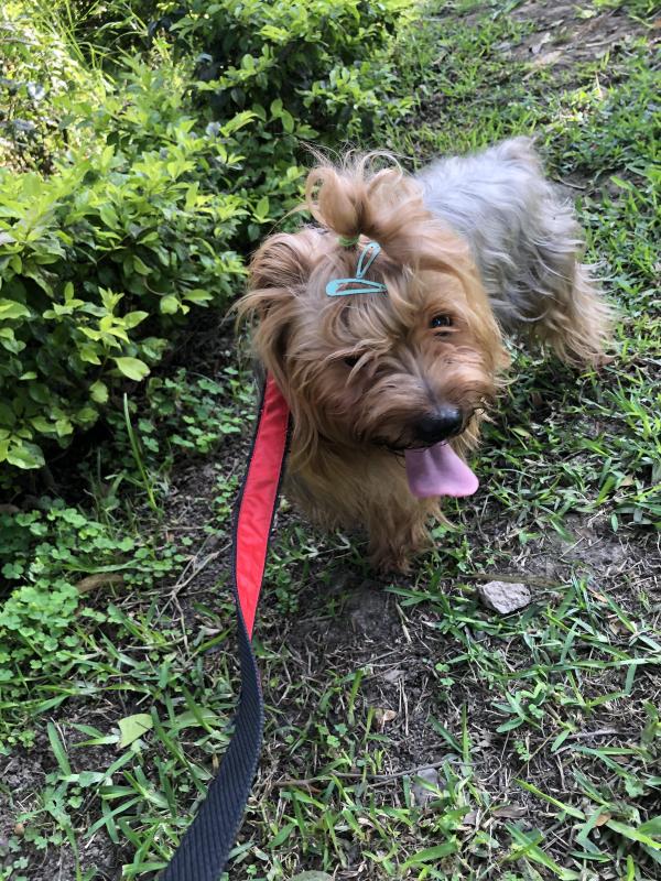 luzcas1106 uploaded   34  day/s  ago