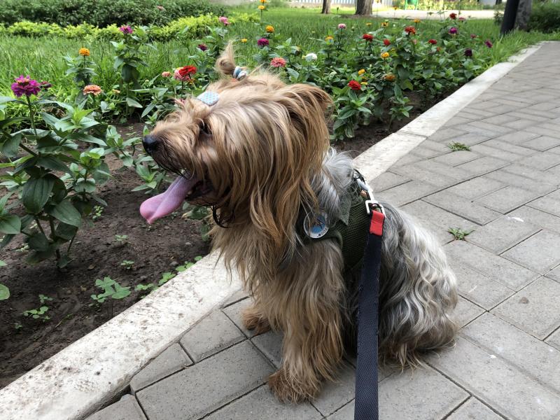 luzcas1106 uploaded   29  day/s  ago