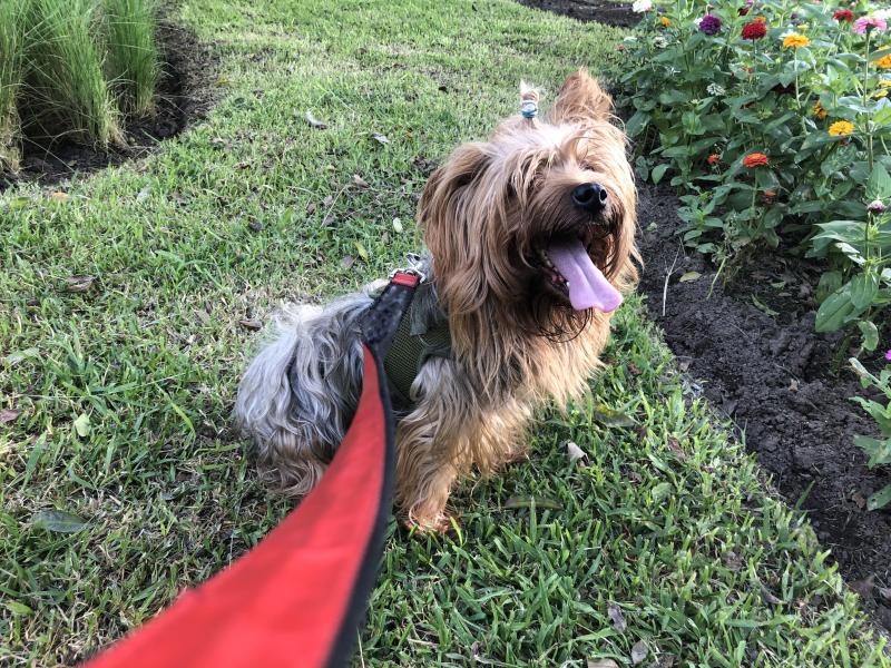 luzcas1106 uploaded   20  day/s  ago