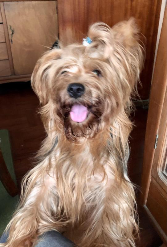 luzcas1106 uploaded   9  day/s  ago