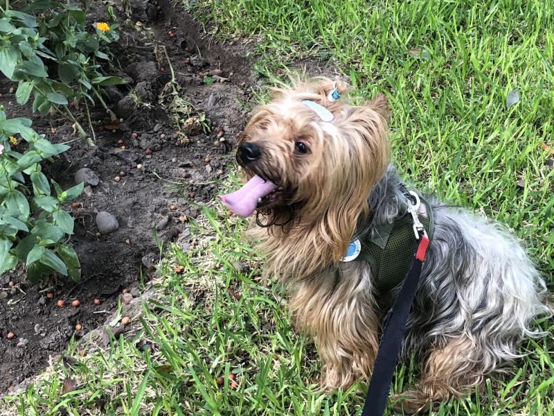 luzcas1106 uploaded   2  day/s  ago