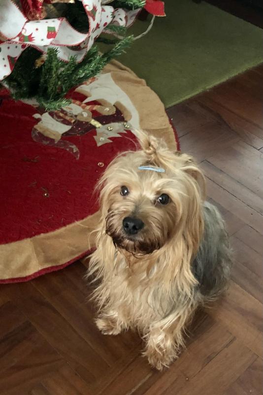 luzcas1106 uploaded   147  day/s  ago